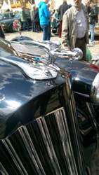 Bild #207886195