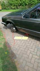 Bild #207914293
