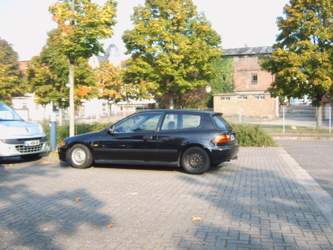 Bild #208152731