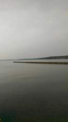 Bild #208354052