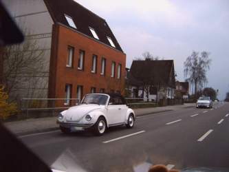 Img03754