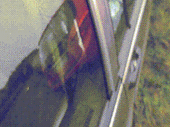 Dscn9099-gif-001