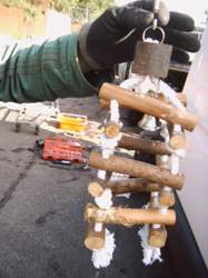 Img00942