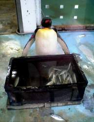 Img-2742