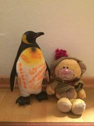 Img-3093