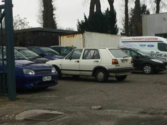 Img-3105