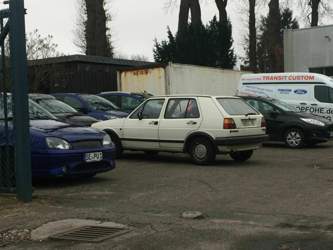 Img-3105