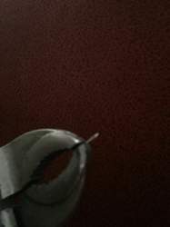Img-3140