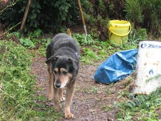 Img-3427