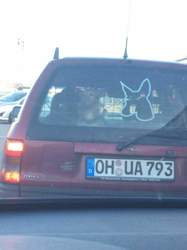 Img-3383