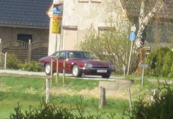 Img-2914