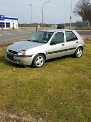 Fiesta_gammlig