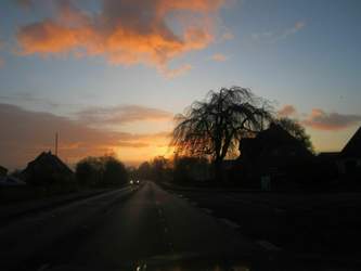 Img-0548