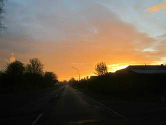 Img-0569