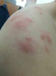 Img-4652