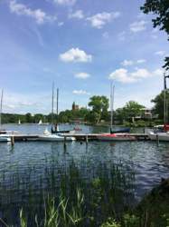 Img-4980