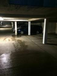 Img-5554