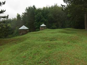 Img-6092
