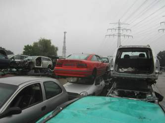 Img-0146