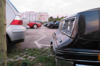 Img-0419