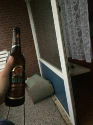 Img-6804