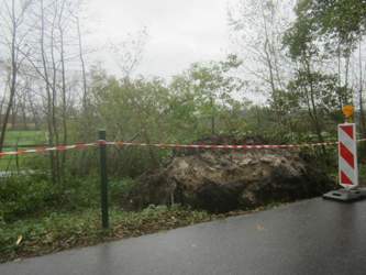 Img-4434
