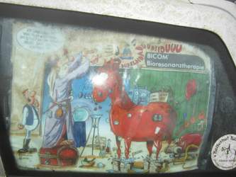 Img-5456