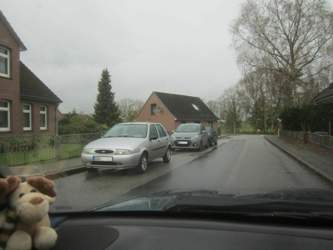 Img-4442