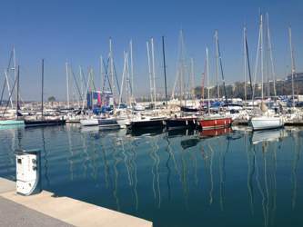 Img-1717