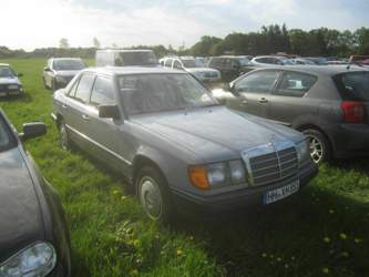 Img-3376