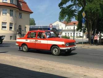 Img-3191