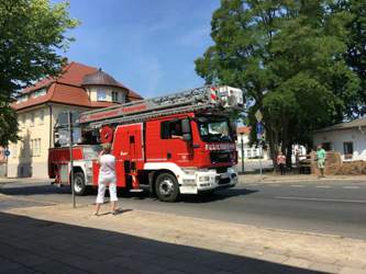 Img-3202
