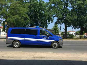 Img-3224