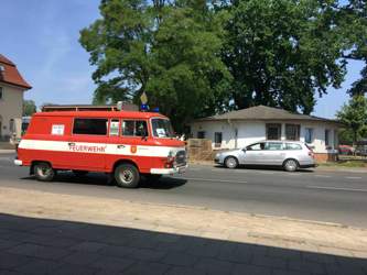 Img-3242