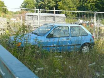 Fiesta-wiese