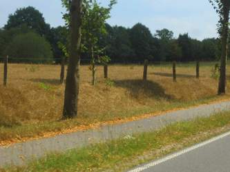 Img-7409-2