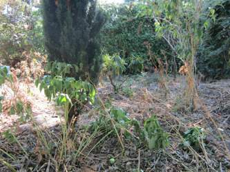 Img-7496-2