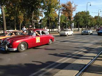 Img-1844