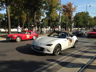 Img-1866