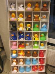Img-8379