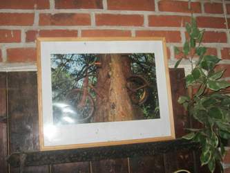 Img-8520