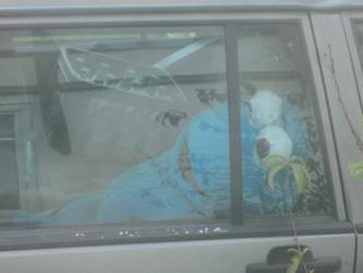Img-8654