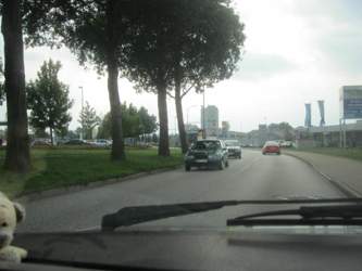 Img-8877