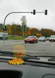 FB_IMG_1540803963395.jpg