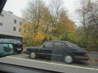 Img-9516