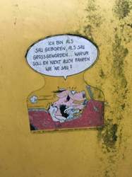 Img-7741