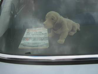 Img-1657