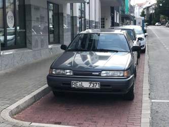 37734247-10215234121159153-7250614573353402368-n