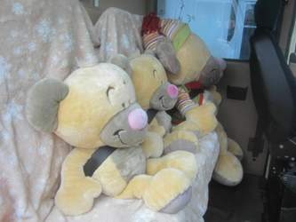 Img-2221