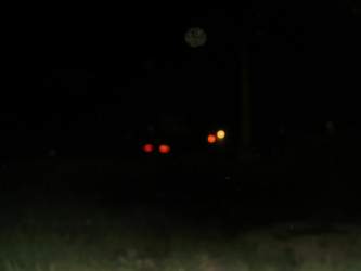 Img-2263